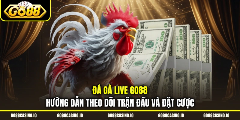 Đá Gà Live Go88 | Hướng Dẫn Theo Dõi Trận Đấu Và Đặt Cược