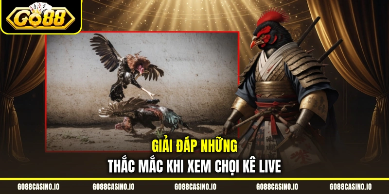 Đá Gà Live Go88 | Hướng Dẫn Theo Dõi Trận Đấu Và Đặt Cược 4 Giải đáp những thắc mắc khi xem chọi kê live