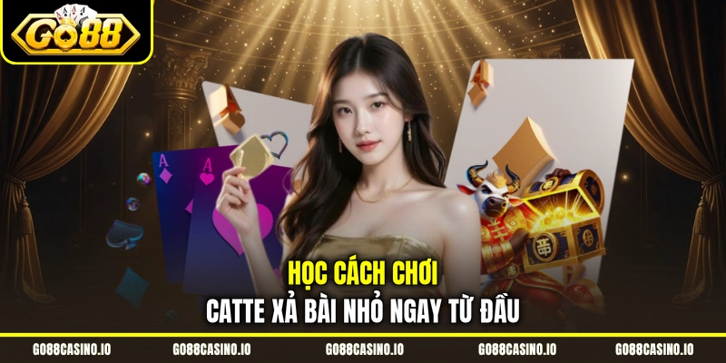Học cách chơi catte xả bài nhỏ ngay từ đầu